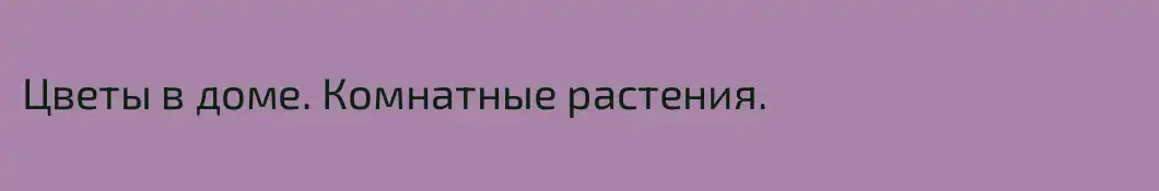 Цветы в доме. Комнатные растения.